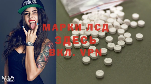 дживик Аркадак
