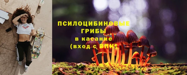 не бодяженный Арсеньев