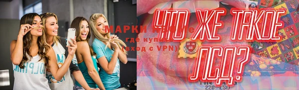 дживик Аркадак