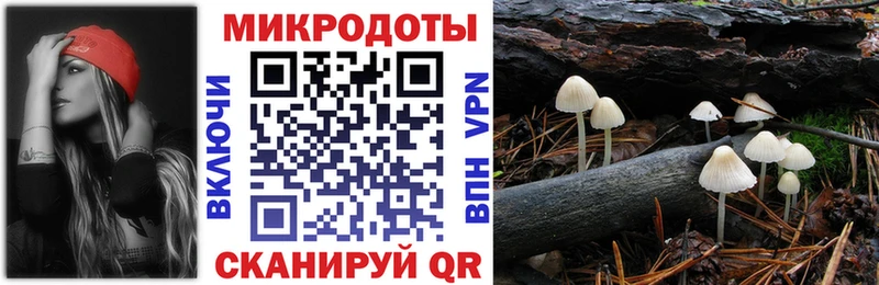 mega   где можно купить   Ахтубинск  Галлюциногенные грибы MAGIC MUSHROOMS 