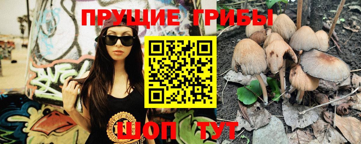 Галлюциногенные грибы мухоморы Ахтубинск