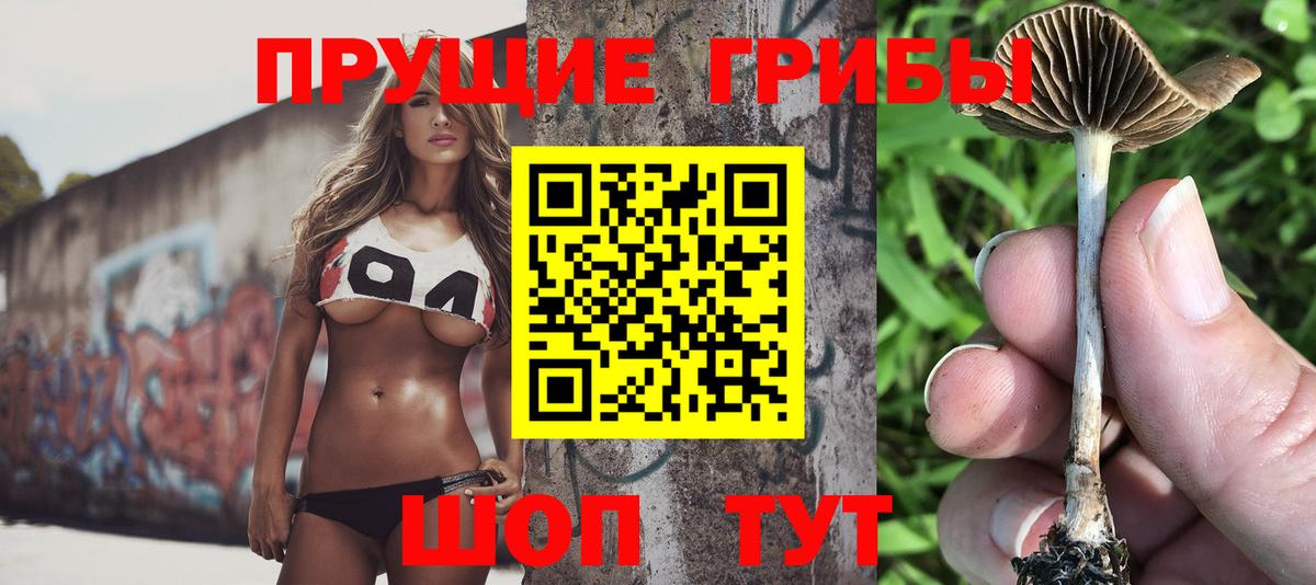 Ахтубинск  Галлюциногенные грибы мицелий  Вход с VPN 